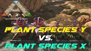 Plant Species Y vs Plant Species X  ARK Scorched Earth [upl. by Arlinda]