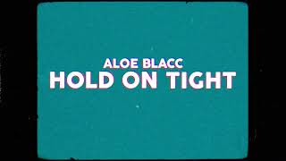 Aloe Blacc  Hold On Tight Official Lyrics Video [upl. by Dodwell498]