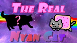 The REAL Nyan Cat Animation [upl. by Elwira]