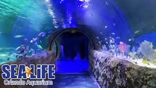 SEA LIFE Orlando Aquarium Full Walkthrough  Reopening Day [upl. by Clim]