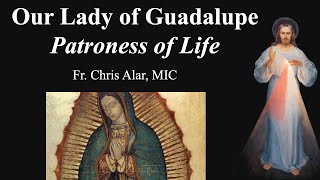 Our Lady of Guadalupe Patroness of Life  Explaining the Faith [upl. by Ham]