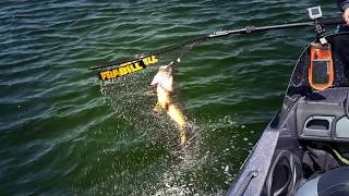 Fishing HUGE Crappies on the Chippewa Flowage in Wisconsin [upl. by Chic922]