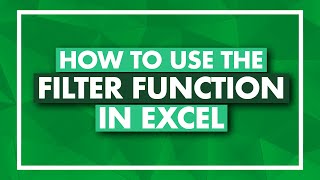 How to Use the FILTER Function in Excel  Excel FILTER Tutorial [upl. by Stroud]