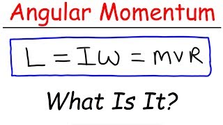 What Is Angular Momentum [upl. by Delgado]