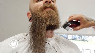 Top 10 Best Beard Transformational Trims [upl. by Colwen]