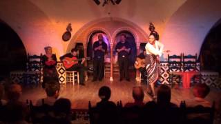 Flamenco Barcelona  Susana Casas TablaoCordobes  16082015 III [upl. by Fiona196]