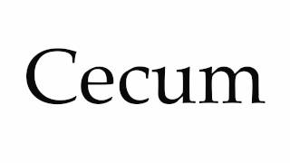 How to Pronounce Cecum [upl. by Mame]