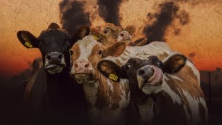 LIBERTAÇÃO ANIMAL VEGANISMO POPULAR E ECOSSOCIALISMO [upl. by Mansoor291]