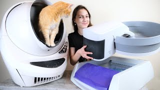 5 Best Automatic SelfCleaning Litter Boxes We Tested Them All [upl. by Cayser]