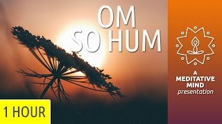 Om So Hum  Mantra Meditation [upl. by Ailes]