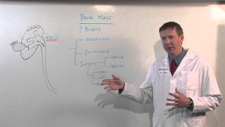 Renal cell carcinoma  an Osmosis Preview [upl. by Ylsel920]