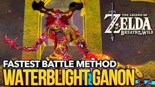 The EASIEST amp FASTEST Way to Defeat Waterblight Ganon in Zelda Breath of the Wild [upl. by Udela]