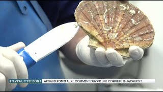 Comment ouvrir facilement des coquilles SaintJacques [upl. by Chaves]