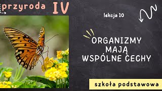 Przyroda klasa 4 Lekcja 10  Organizmy mają wspólne cechy [upl. by Airda]