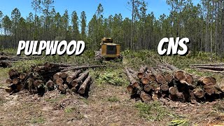 How To Sort CNS amp Pulpwood While Logging [upl. by Katey]