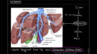 3 Minute Anatomy Liver Segments Part 1 [upl. by Phiona]