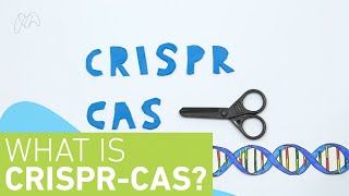 CRISPR Cas9  A Brief Introduction [upl. by Iat556]