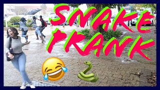 Stellenbosch Snake Prank Cape Town [upl. by Arua49]