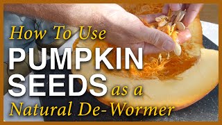 Pumpkin Season  Using The Seeds As A Dewormer [upl. by Asenad]