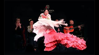 La Bulería Tablao Flamenco [upl. by Zolnay952]