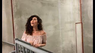 Singing quotHALLELUJAHquot in a Stairwell with EPIC acoustics [upl. by Opportuna]