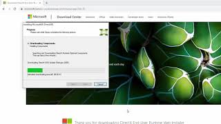 Fix This Application requires DirectX Version 81 or Greater to run on Windows 10 [upl. by Shirah664]