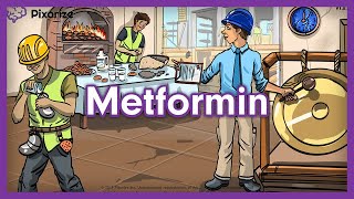 Metformin USMLE Mnemonic [upl. by Barcellona428]