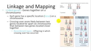 Cytogenetics in Plants [upl. by Pope]