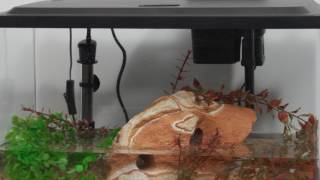 Tetra® Products — 10 Gallon Aquarium Kit Setup [upl. by Ainessej]