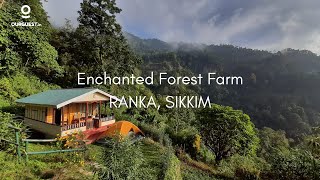 Homestays in Sikkim  Enchanted Forest Farm [upl. by Lleda]