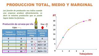 Producto total marginal y medio [upl. by Guerra]