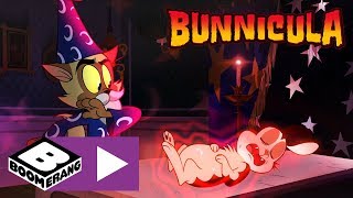 Bunnicula  Bunniculas Magical Ritual  Boomerang UK 🇬🇧 [upl. by Oznohpla621]