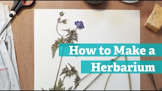 How to Make a Herbarium [upl. by Anilram]