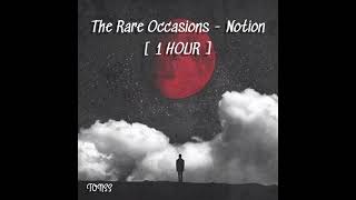 The Rare Occasions  Notion  1 HOUR [upl. by Jordison]