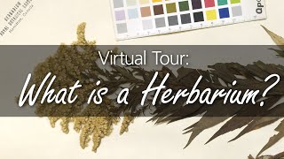 Virtual Tour Herbarium [upl. by Pontone]