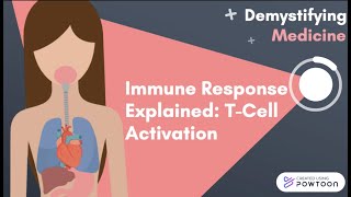 Immune Response Explained TCell Activation [upl. by Bohon]