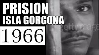 1966 PRISION ISLA GORGONA  DOCUMENTAL [upl. by Barde]