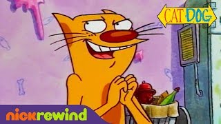 CatDog Candy Company  CatDog  Nicktoons [upl. by Alram]