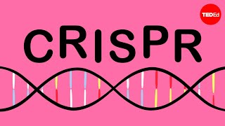 How CRISPR lets us edit our DNA  Jennifer Doudna [upl. by Salba]