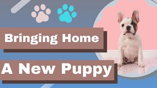 Bringing Home A New Puppy Care and Training Tips [upl. by Eniortna]