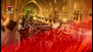 Bazar Mai Zainab Ne  Mir Hassan Mir  201617  TP Muharram 201617 [upl. by Yrroc]