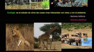 Introducción a la ecología  Ecología  Biología  Khan Academy en Español [upl. by Webber]