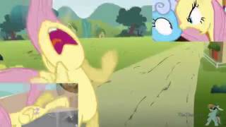 New Fluttershy Has A SPARTA EXTENDED REMIX [upl. by Langdon]