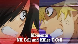 Killer T Cell and NK Cell【 Hataraku Saibou Episode 6  7 】 [upl. by Enneillij]