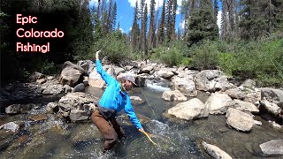 The TOP 10 fishing spots in Colorado  McFly Angler Fly Fishing [upl. by Itida]