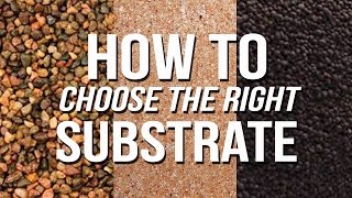 HOW TO Choose an Aquarium Substrate [upl. by Naamana]