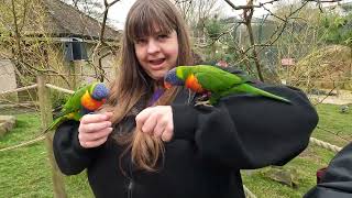 Blackpool Zoo April 2024 [upl. by Hendrick]