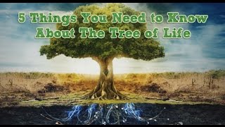 5 Things You Need to Know About The Tree of Life [upl. by Llednahs]