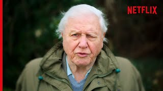 Sir David Attenborough On The Devastating Truth About Coral Reefs [upl. by Lorak181]