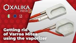 Getting rid of Varroa Mites using the vaporizer OXALIKA PREMIUM [upl. by Jehanna262]